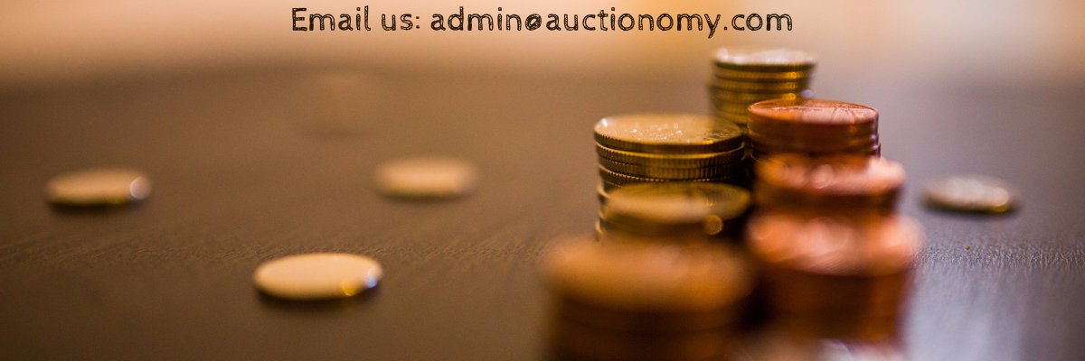 auctionomy's profile banner image