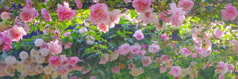 moka_memory's profile banner image
