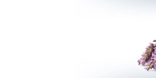fito_terapevt's profile banner image