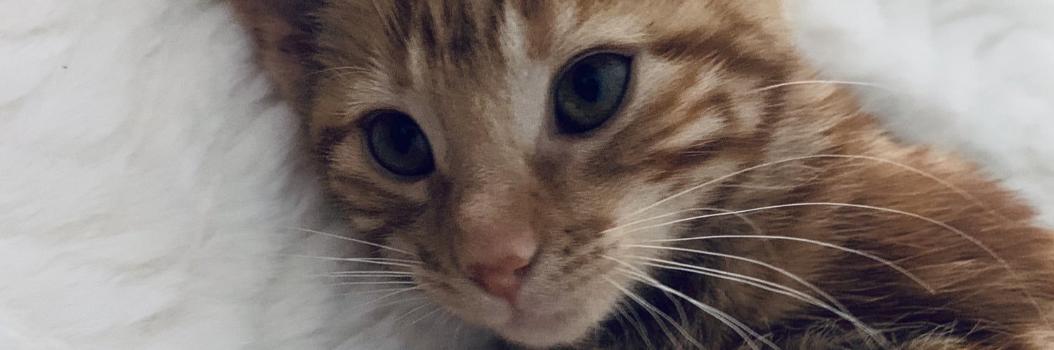 ChloeRrrr's profile banner image