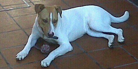 VickyYedros's profile banner image