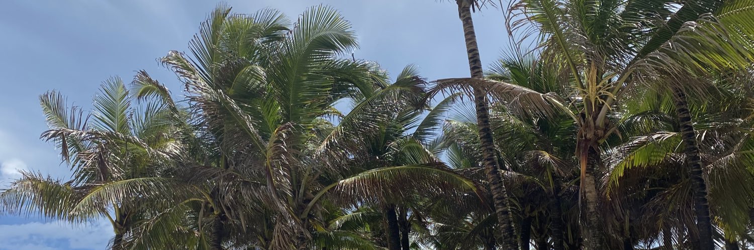 DudaPeriquito's profile banner image