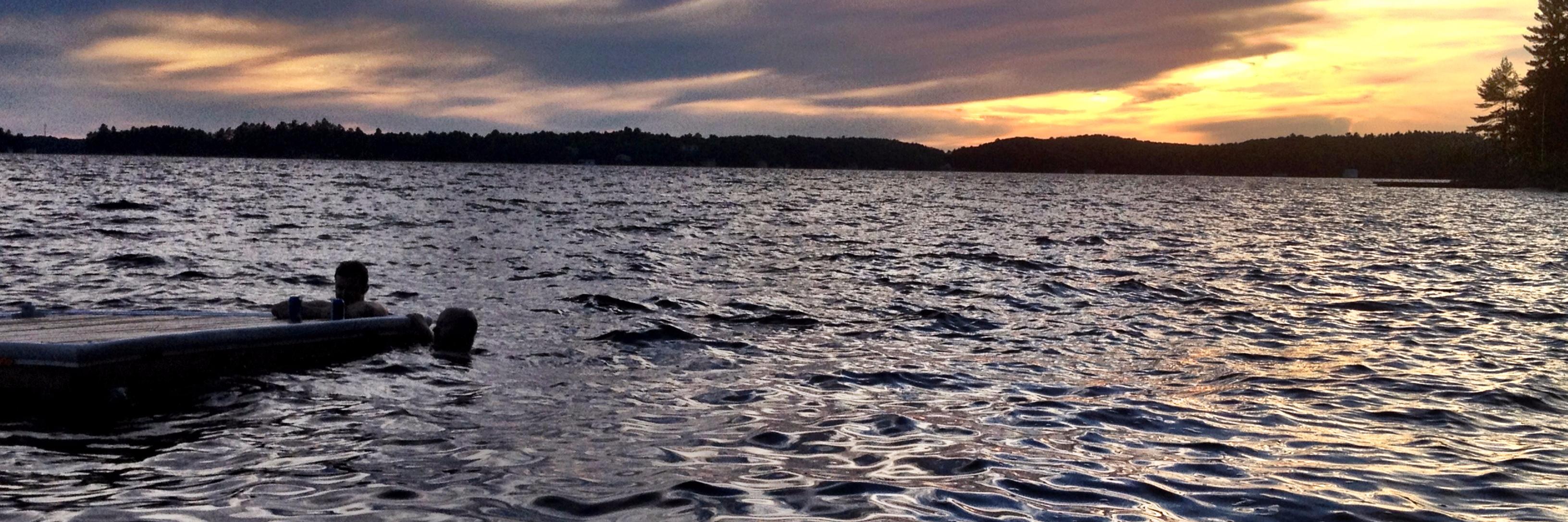 Alison Salinas banner