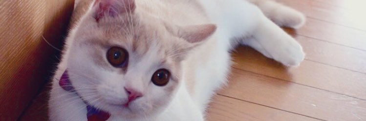kaning64's profile banner image