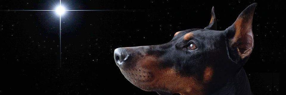 b0uach's profile banner image