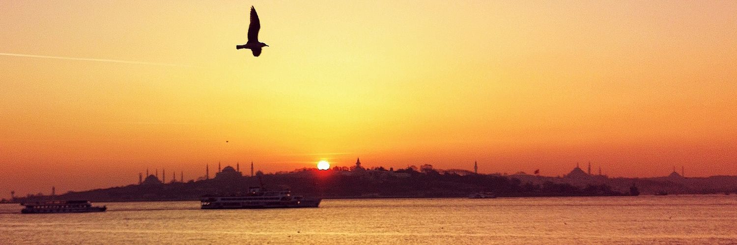 ErayErguvan's profile banner image