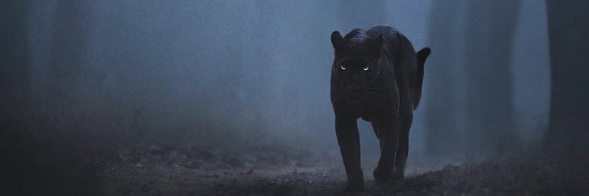 72Luis10's profile banner image