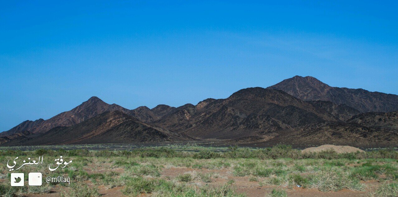 مــو فــق ا لــشــمــلا نــي banner