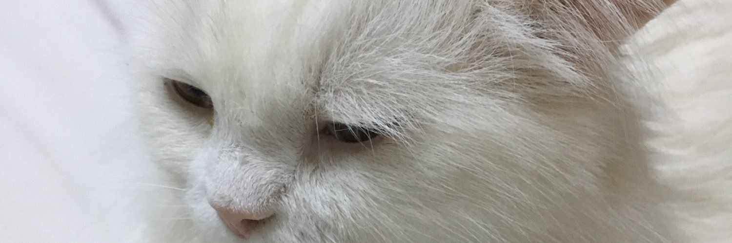 wahha76's profile banner image