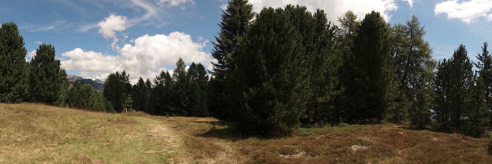 TrailFreddy's profile banner image