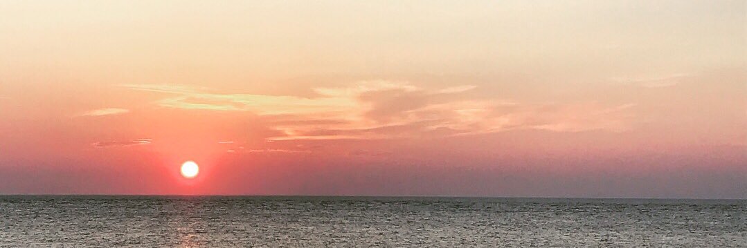 Lauren P. Koester banner