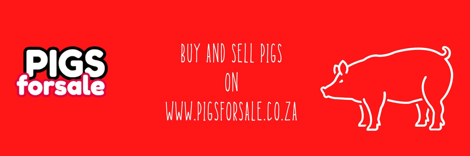 muzimohale's profile banner image