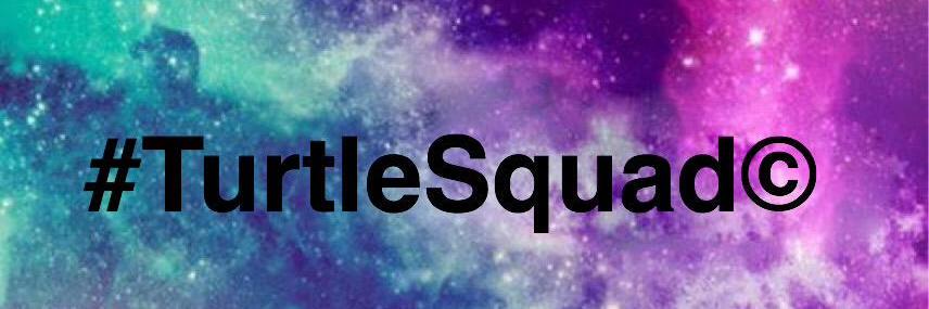 TurtleNuggetD's profile banner image