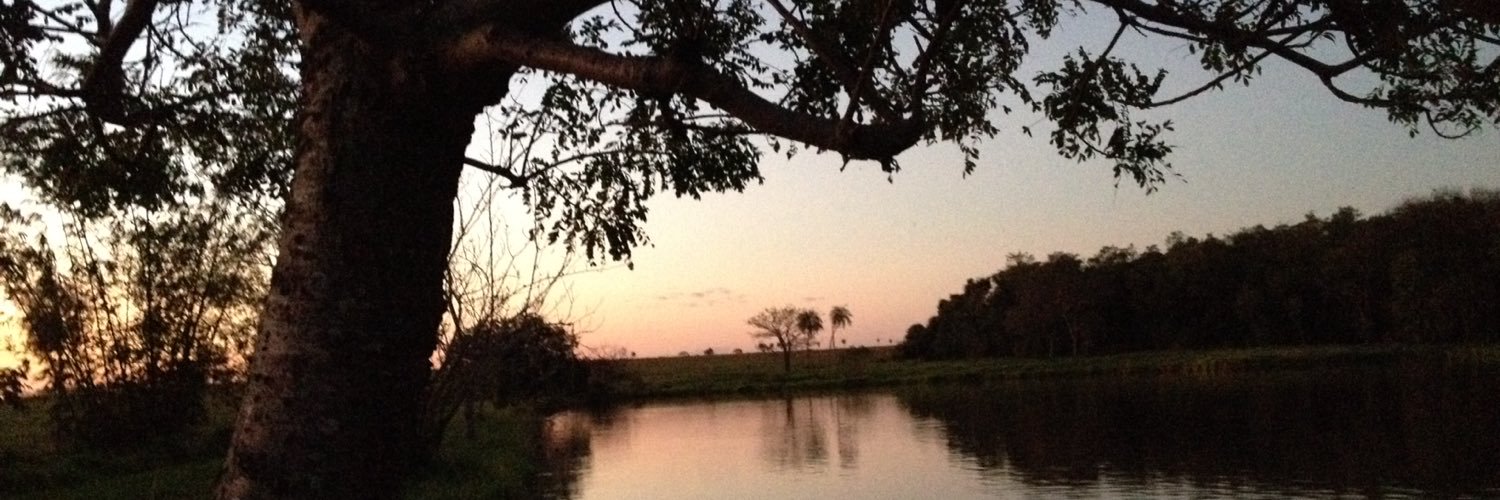 gilsonvisu's profile banner image