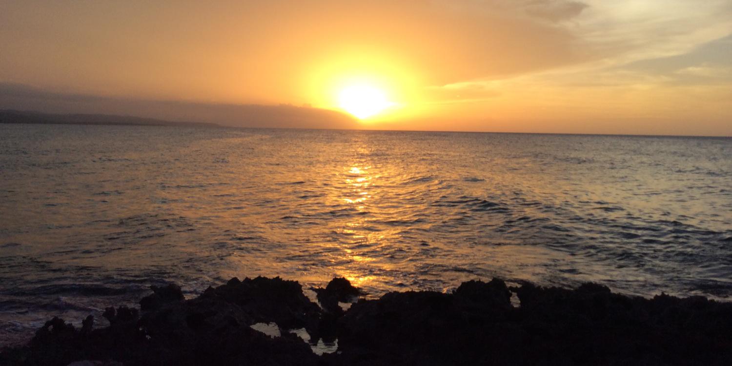 HgoodsellMerry's profile banner image