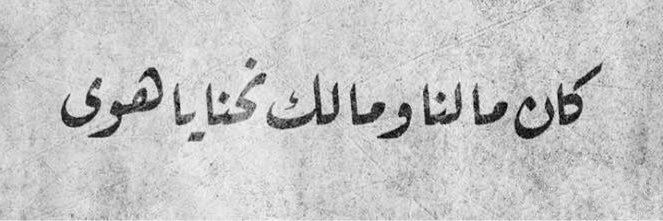 عبدالمجيد المطيري banner