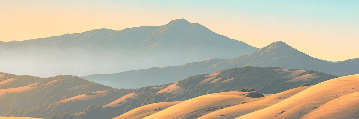 LinkedMedia's profile banner image