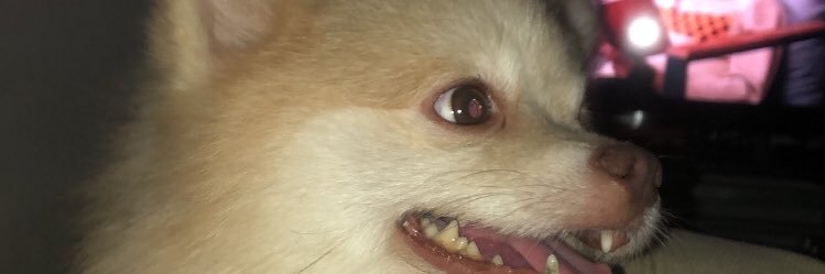 washcorrea_'s profile banner image