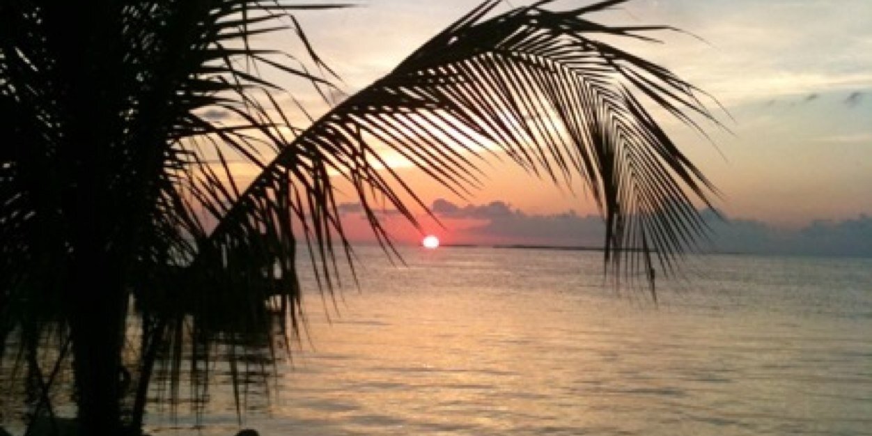 Mary Lee Parker banner