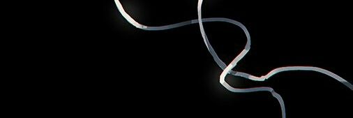 mielnare's profile banner image