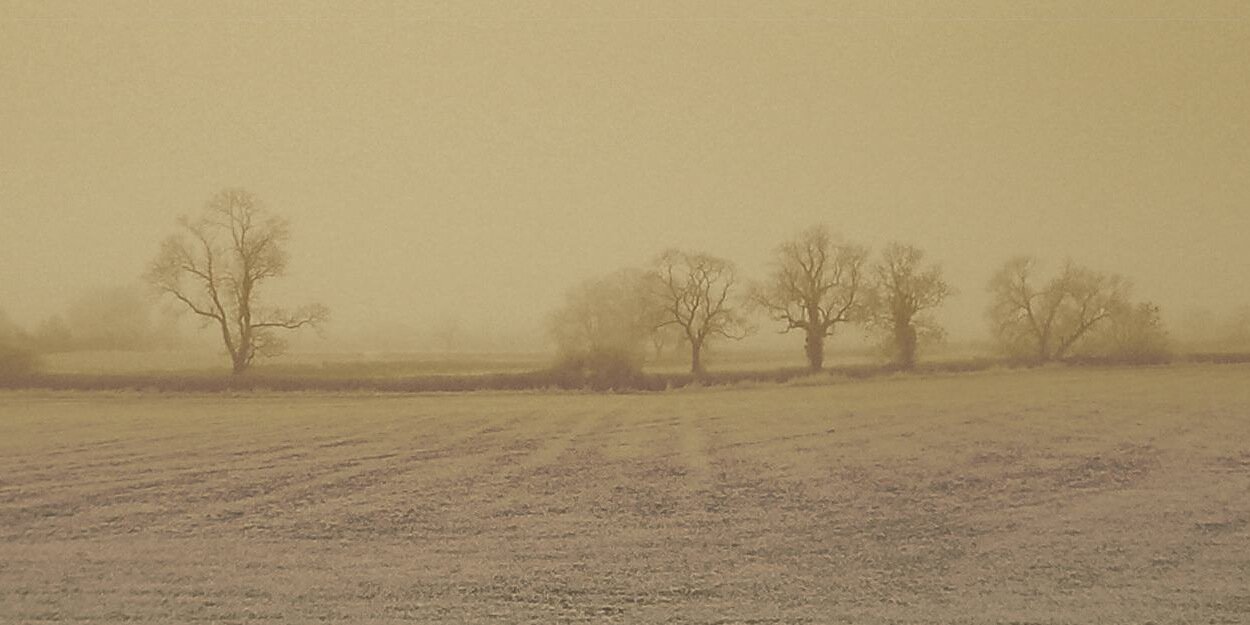 bradecote's profile banner image