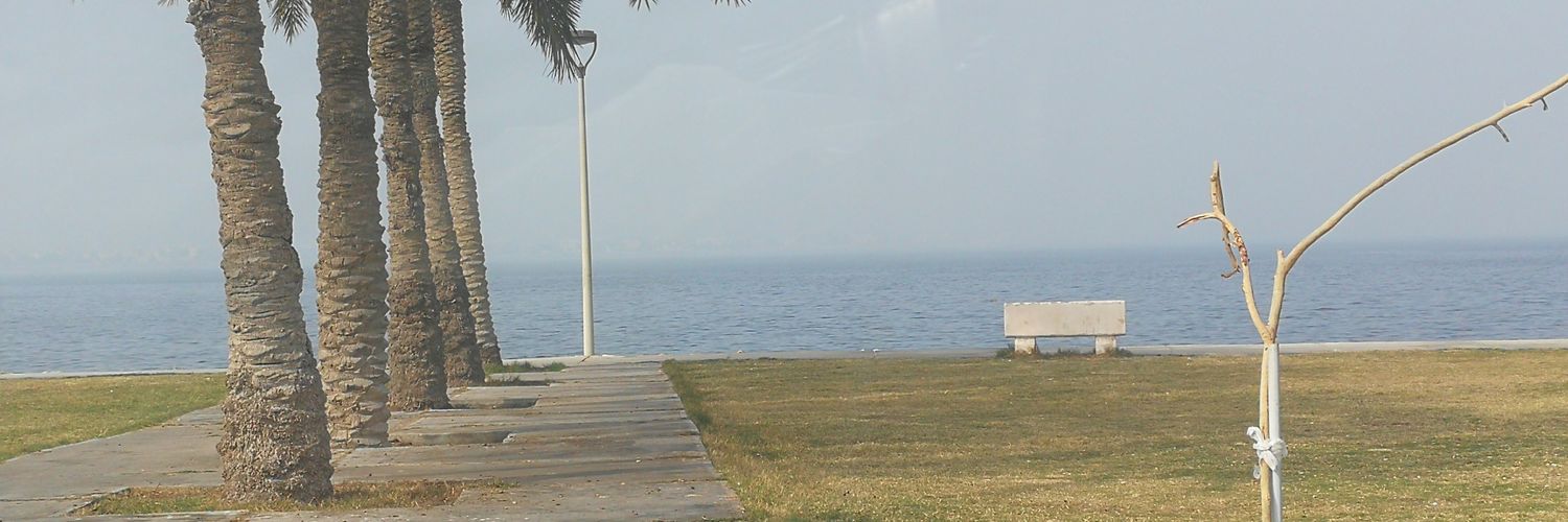 najeeb banner