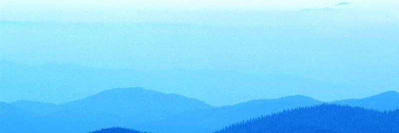 dimdiva2's profile banner image