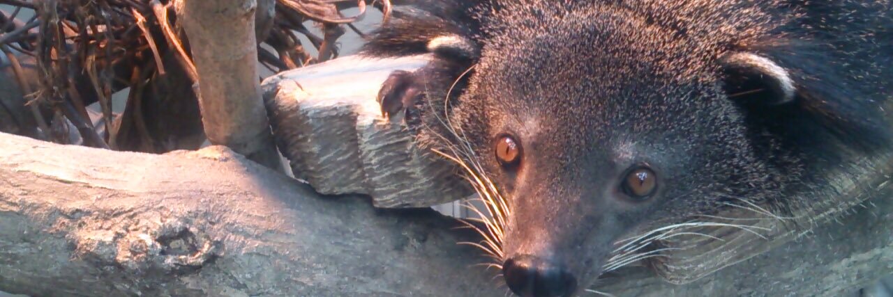 じゃいろ67 banner