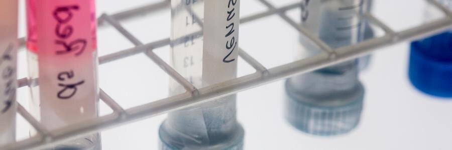 iGEM_Berlin's profile banner image