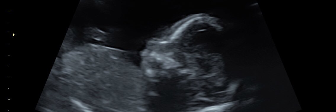 lisawickens01's profile banner image