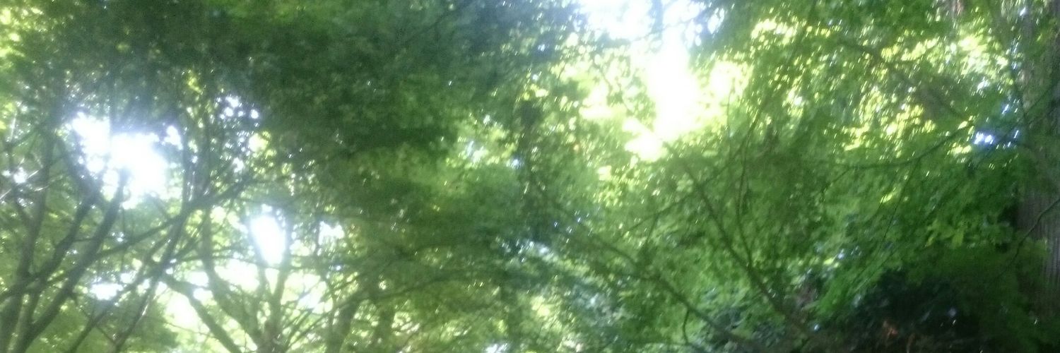 sararap87's profile banner image