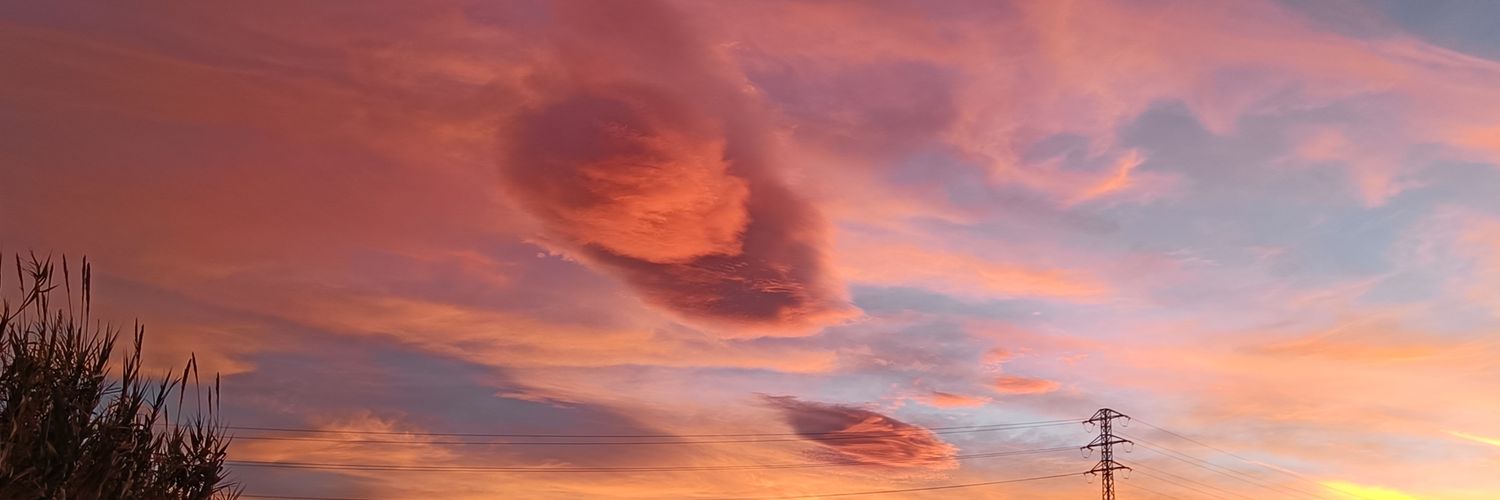 tonaEsteller's profile banner image