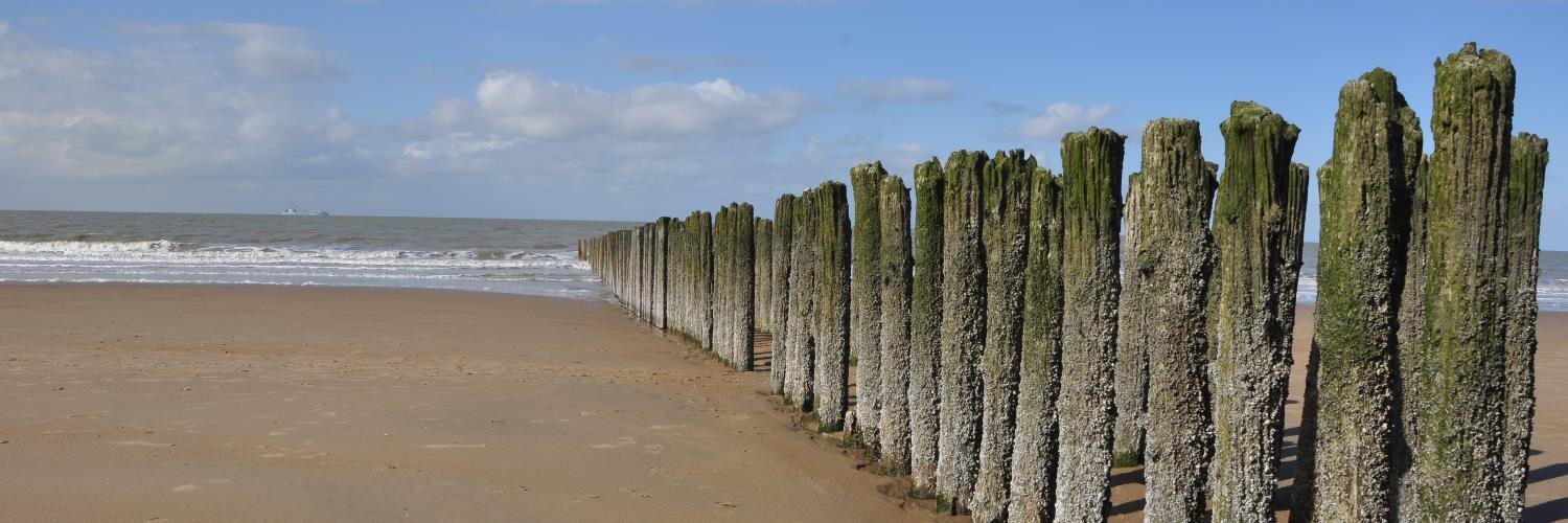 Manu De Meester banner