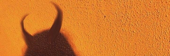ellieconst's profile banner image