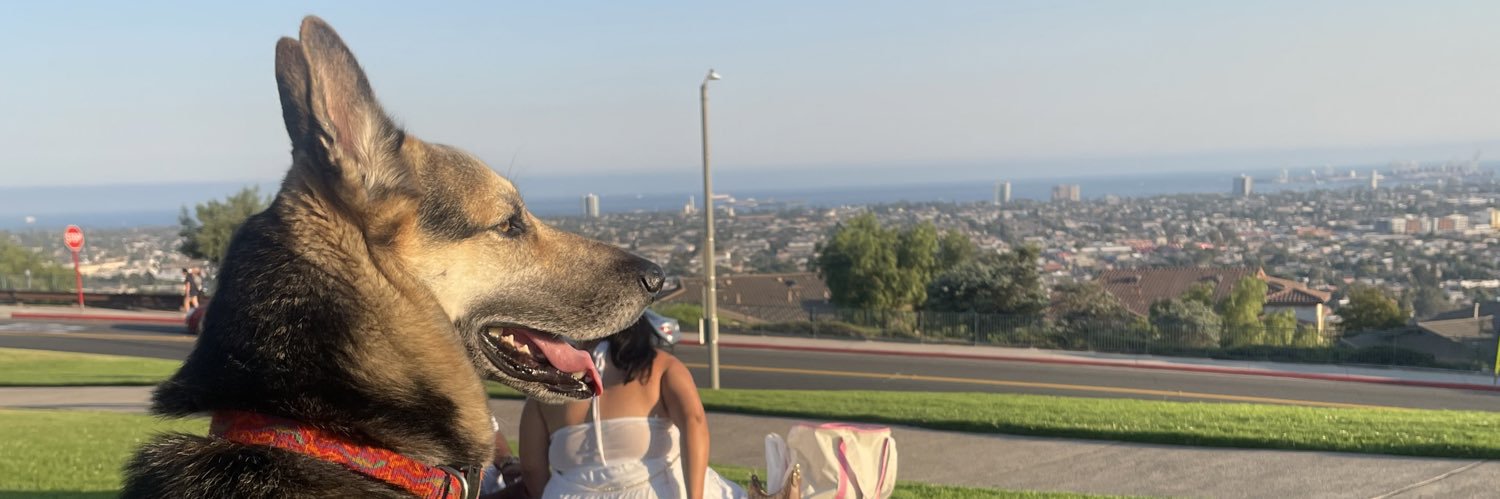 GTruijllo's profile banner image