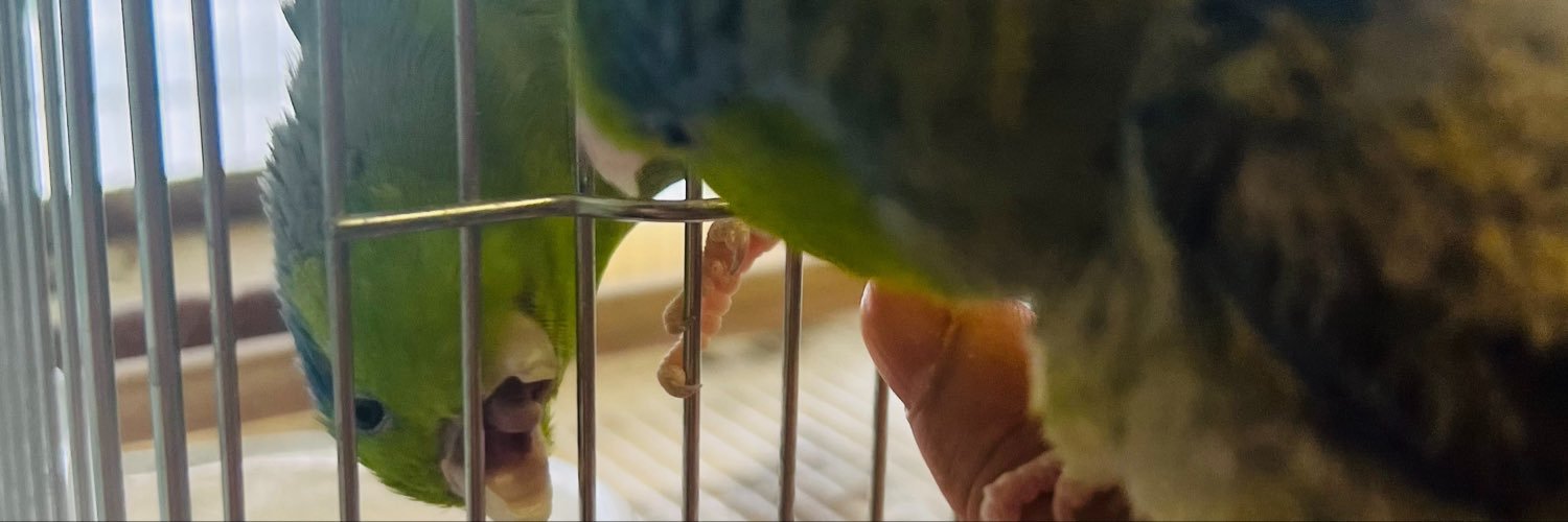 Masacoco3's profile banner image