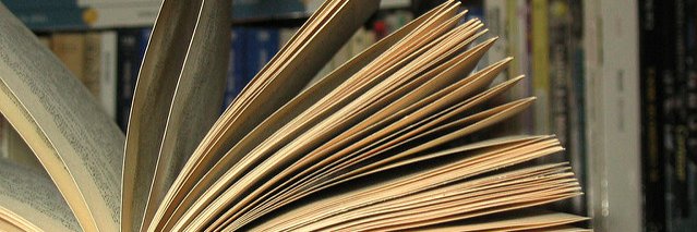 Corineauthor's profile banner image