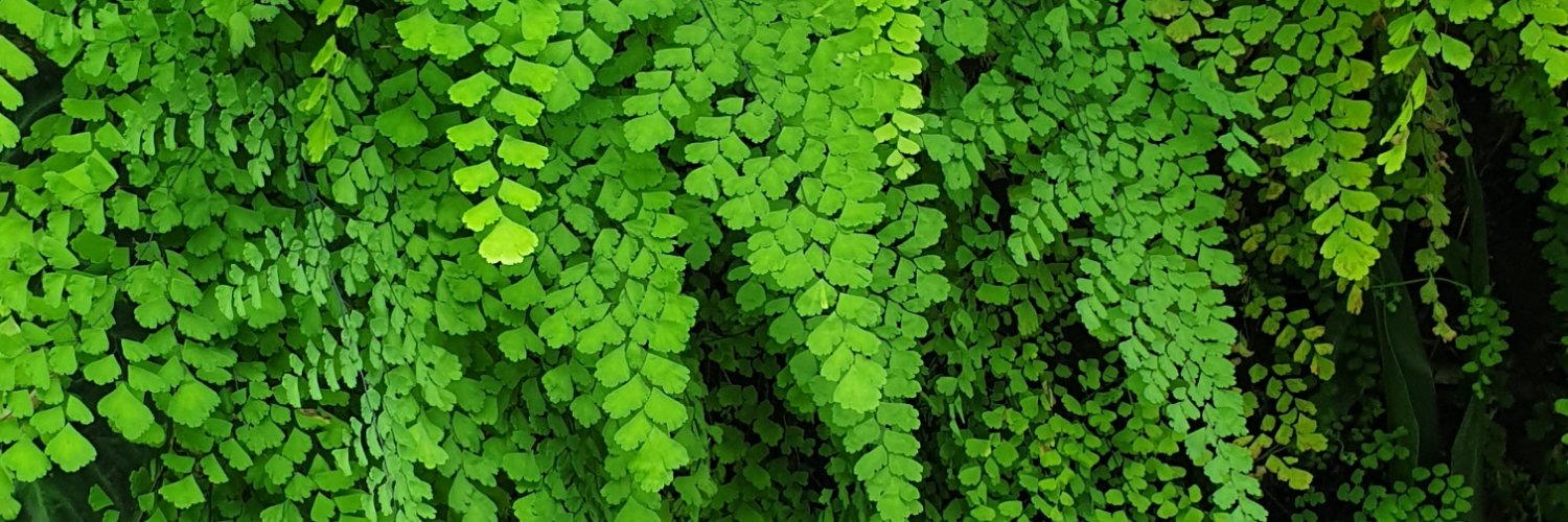 Ian Mack🌈🇦🇺💉x7 banner