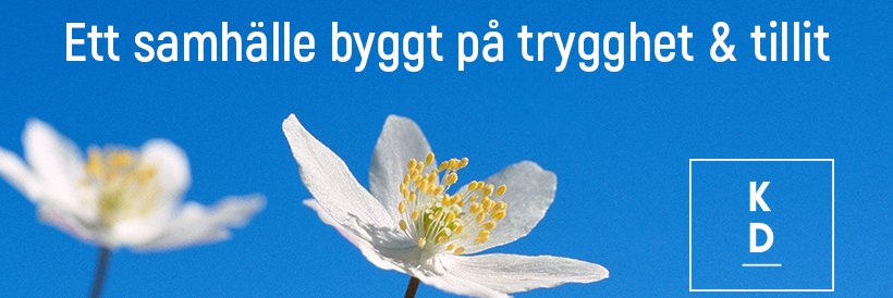 Alexander Kolind 🌻 banner