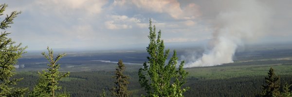 fen_fatale Profile Banner