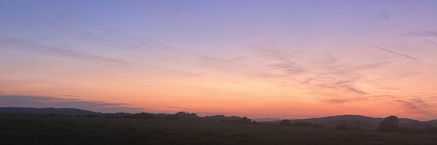 laurengreen___'s profile banner image