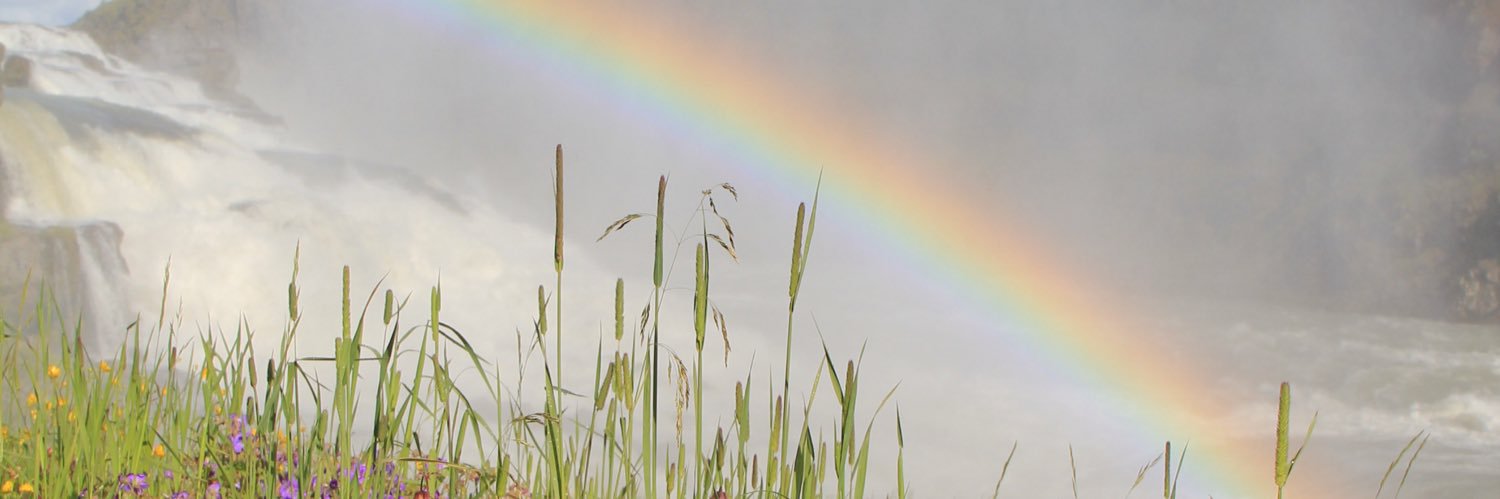 camilleberman's profile banner image