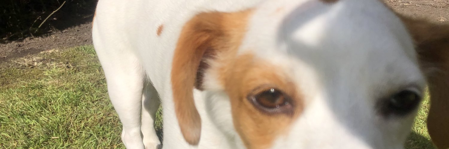 Harriet Crawford banner