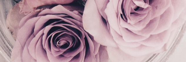 SiriSRustad's profile banner image