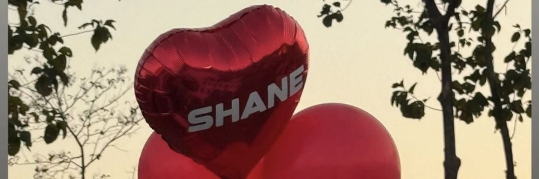 Sasineeing's profile banner image