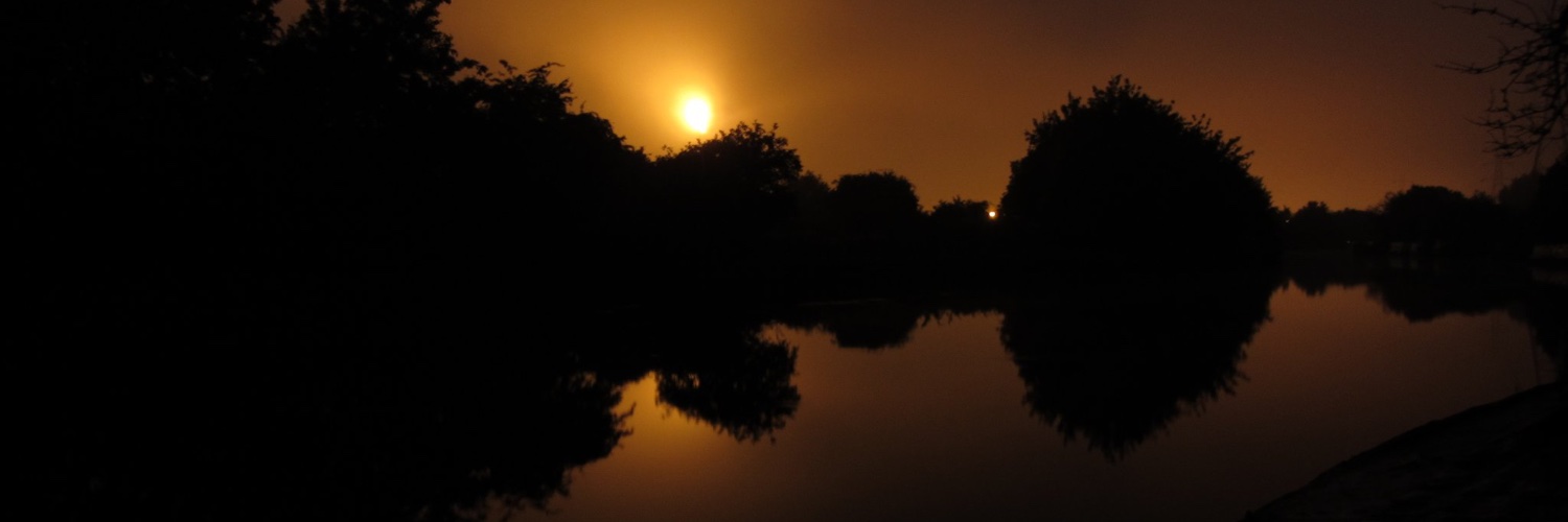 David Herbert banner