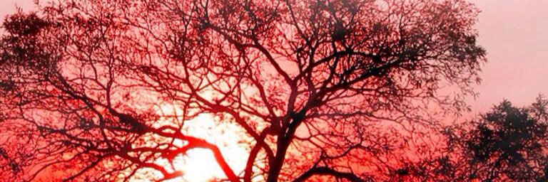 Dawn9495's profile banner image