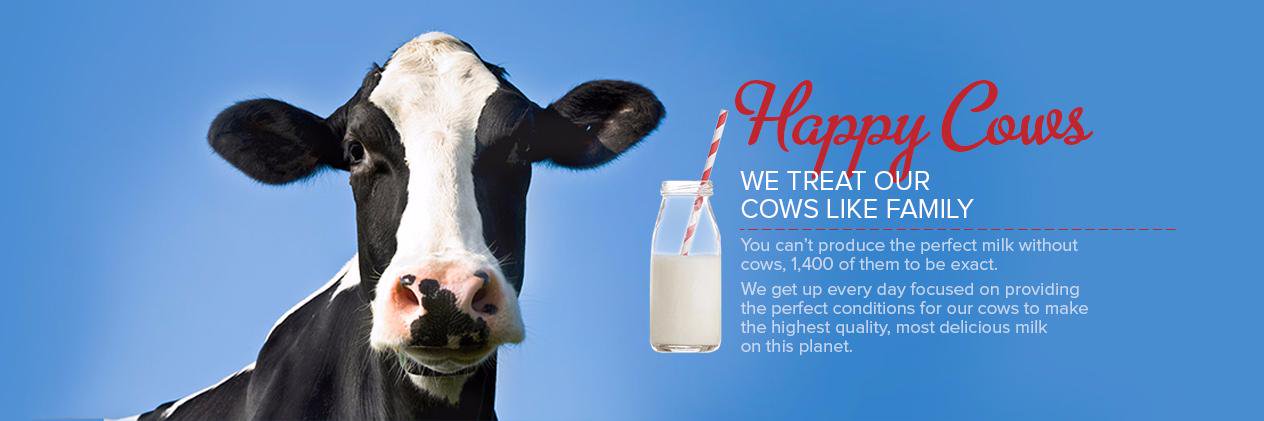 PLDairy's profile banner image