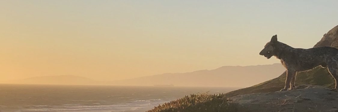 BrianCuadra's profile banner image