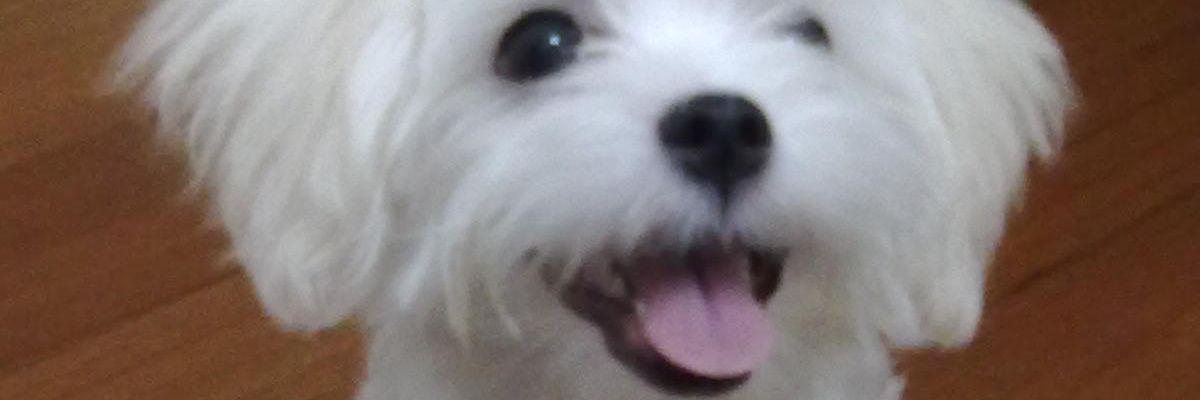 eeva153's profile banner image